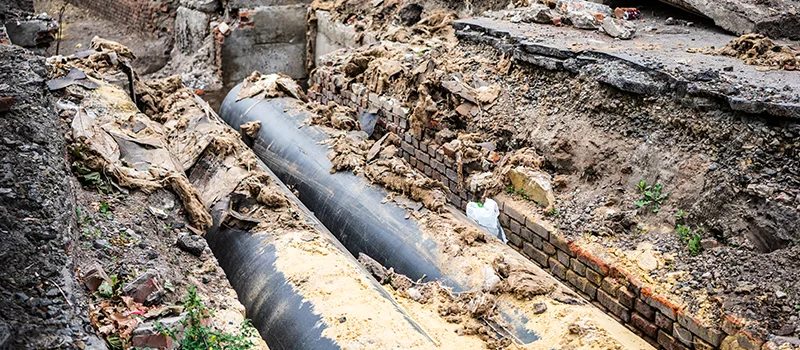 Commercial Sewer Tree Roots Damage Solutions in Muskoka, ON