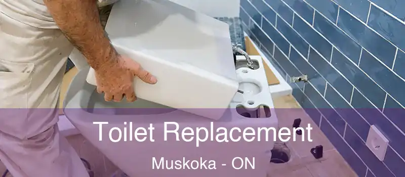 Toilet Replacement Muskoka - ON